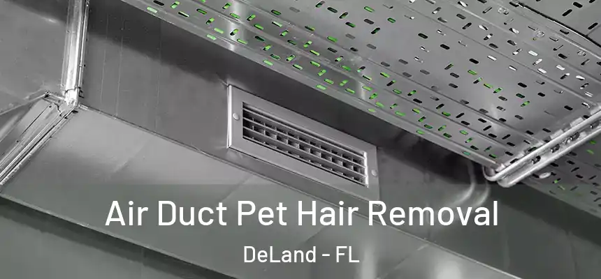 Air Duct Pet Hair Removal DeLand - FL