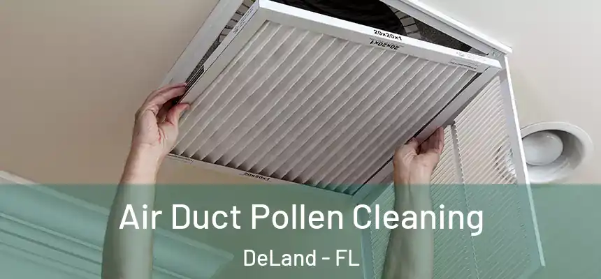 Air Duct Pollen Cleaning DeLand - FL