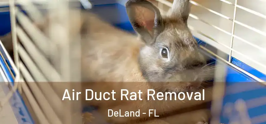 Air Duct Rat Removal DeLand - FL