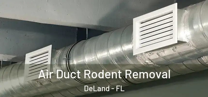 Air Duct Rodent Removal DeLand - FL