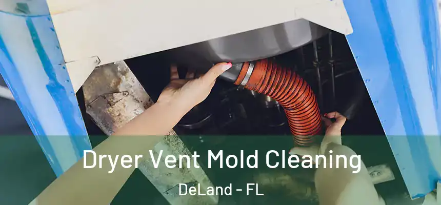 Dryer Vent Mold Cleaning DeLand - FL