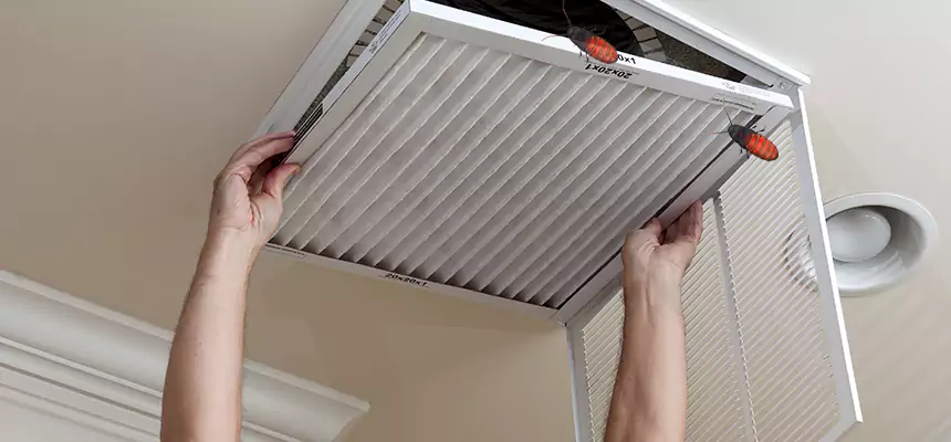 Preventive Cockroach-Proofing for Ducts in DeLand