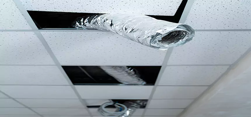 Our Air Duct Pet Hair Removal Services in DeLand, FL