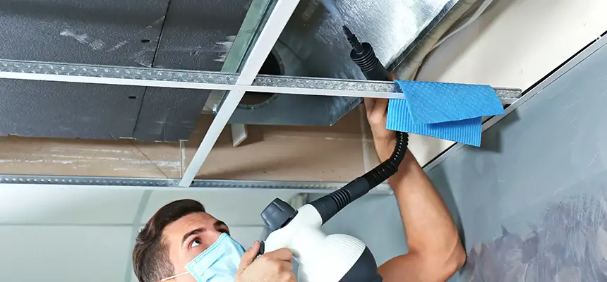 Our Air Duct Rodent Removal Services in DeLand, FL