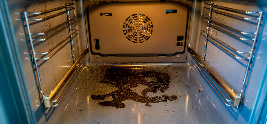 Our Dryer Vent Mold Cleaning Services in DeLand, FL