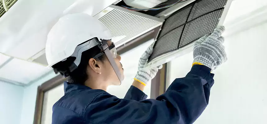 Our Mold & Mildew Removal from Air Ducts Services in DeLand, FL