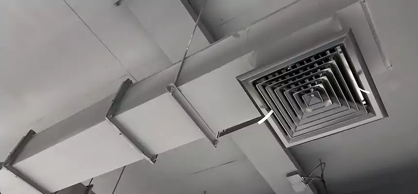 Our Rodent Droppings In Vents Services in DeLand, FL