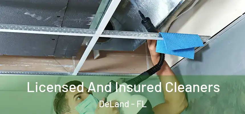 Licensed And Insured Cleaners DeLand - FL