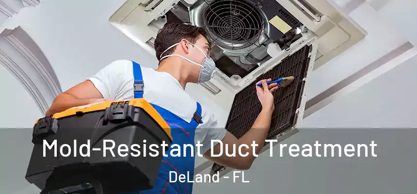 Mold-Resistant Duct Treatment DeLand - FL