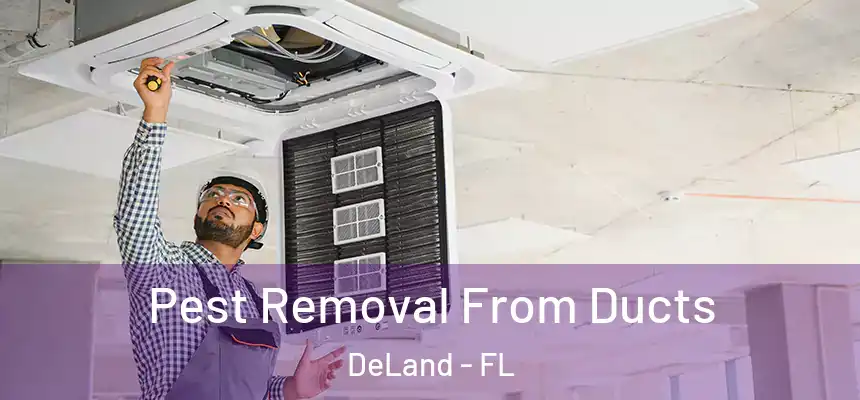 Pest Removal From Ducts DeLand - FL