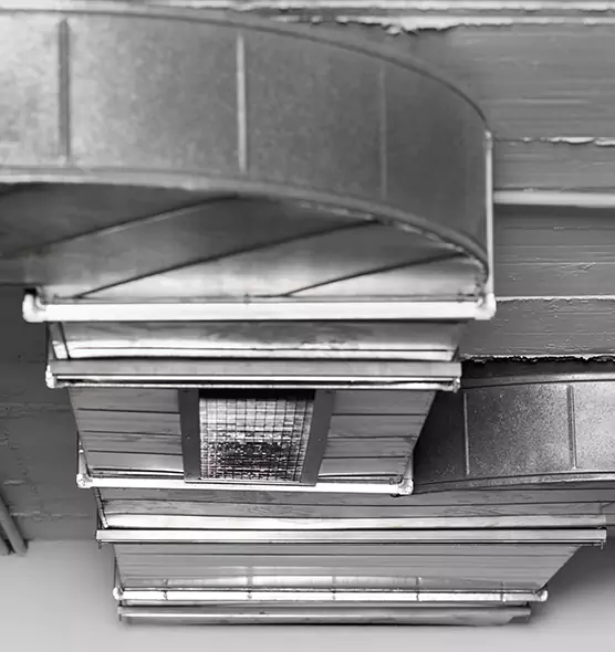 Professional Air Duct Pest Removal in DeLand, FL