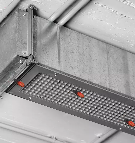 Affordable Insect Removal from Air Ducts in DeLand, FL