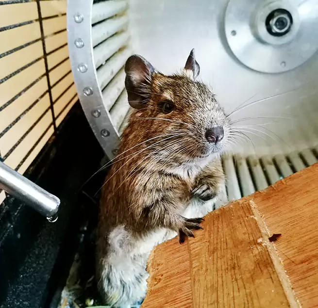 Why Homeowners & Businesses Trust Us DeLand, FL