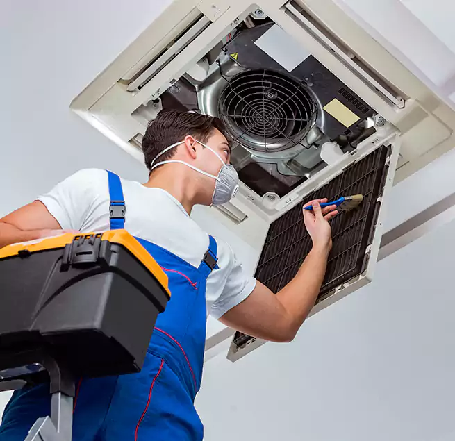 Why Homeowners & Businesses Trust Us in DeLand, FL