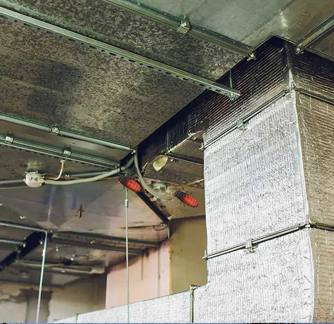 Why Homeowners & Businesses Trust Us DeLand, FL?