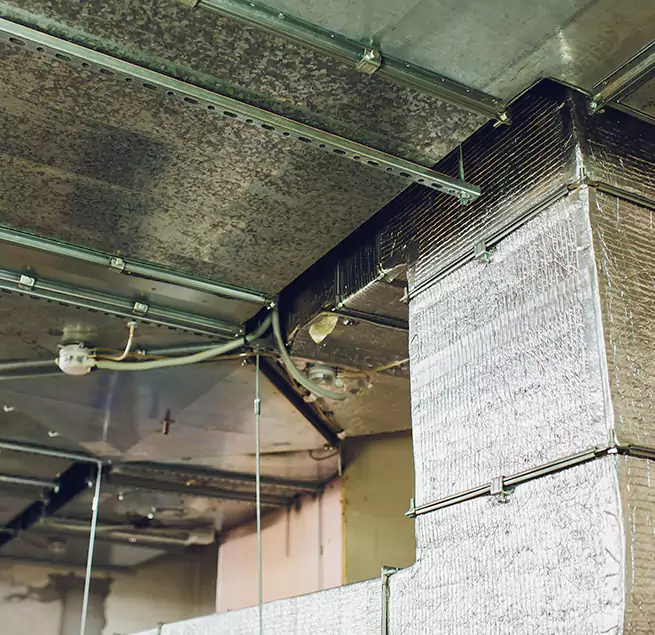 Why Homeowners & Businesses Trust Us in DeLand, FL?